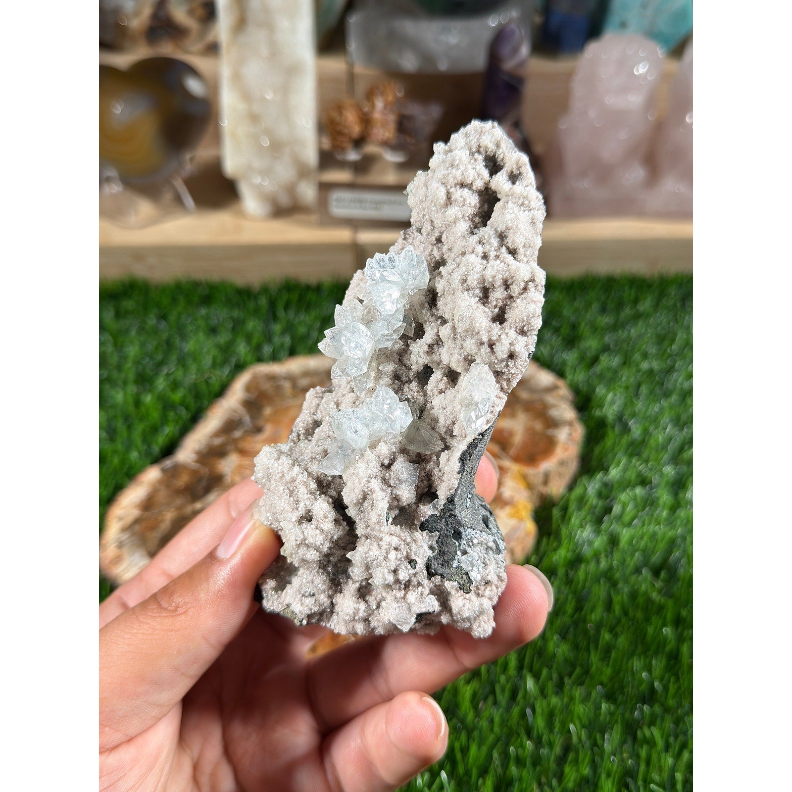 Rare Flowered Apophyllite on Chalcedony | 7.5 oz | Sparkly Crystal Cluster