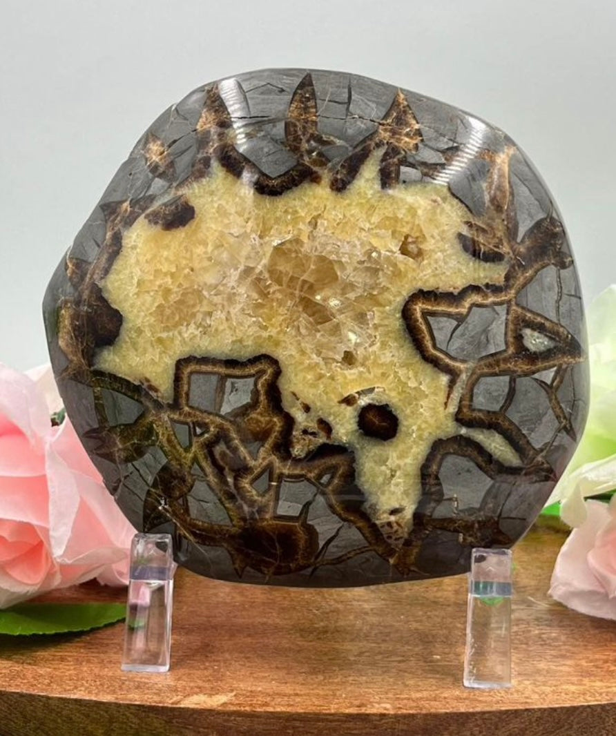 Dragons Egg Septarian 2 Pound Crystal