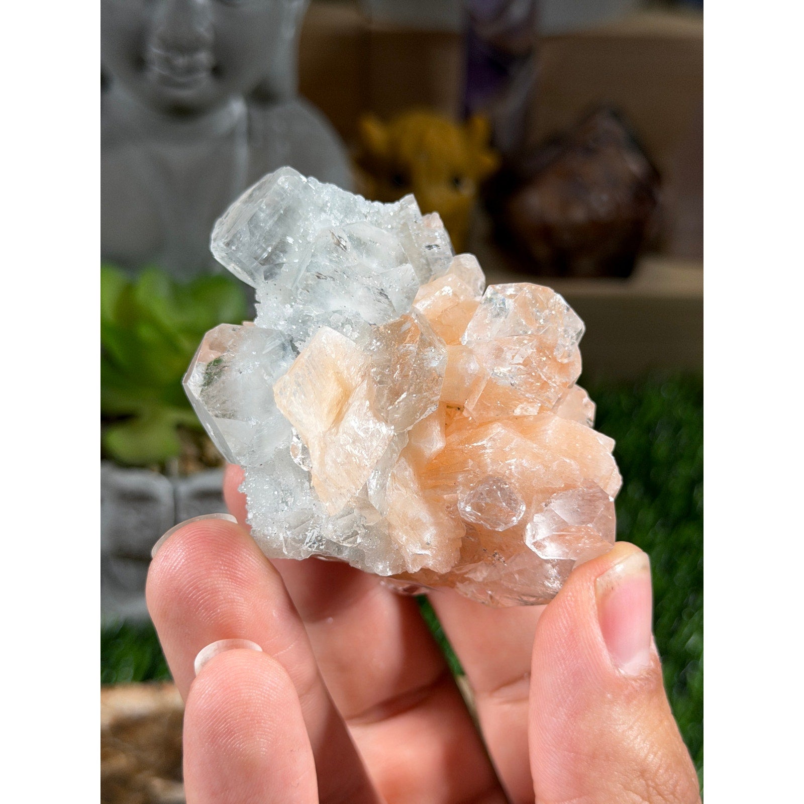 Diamond Apophyllite & Stilbite Specimen Jalgaon District, India