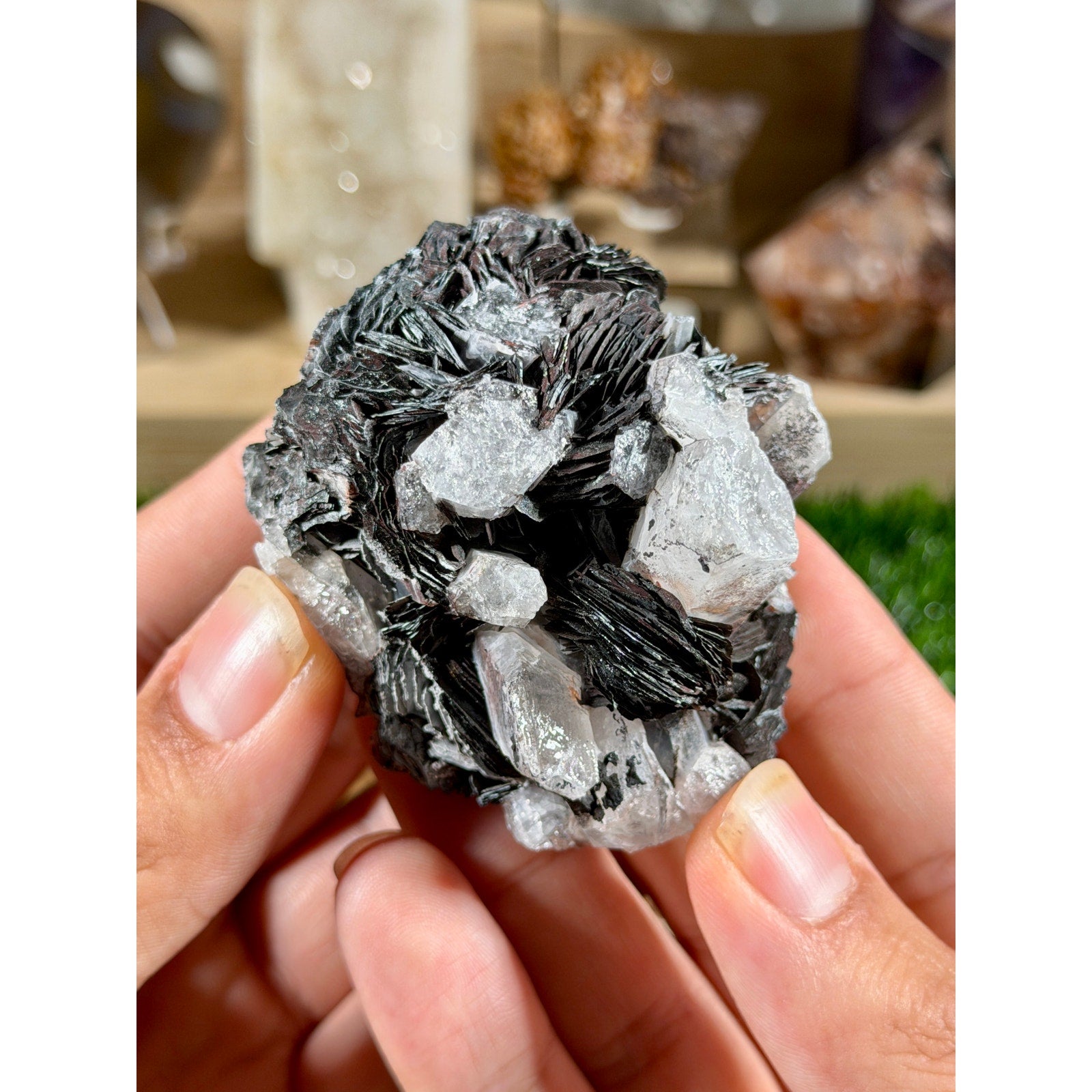 Black Bladed Hematite & Quartz | 8.6 oz | Bold High-Contrast Crystal Cluster