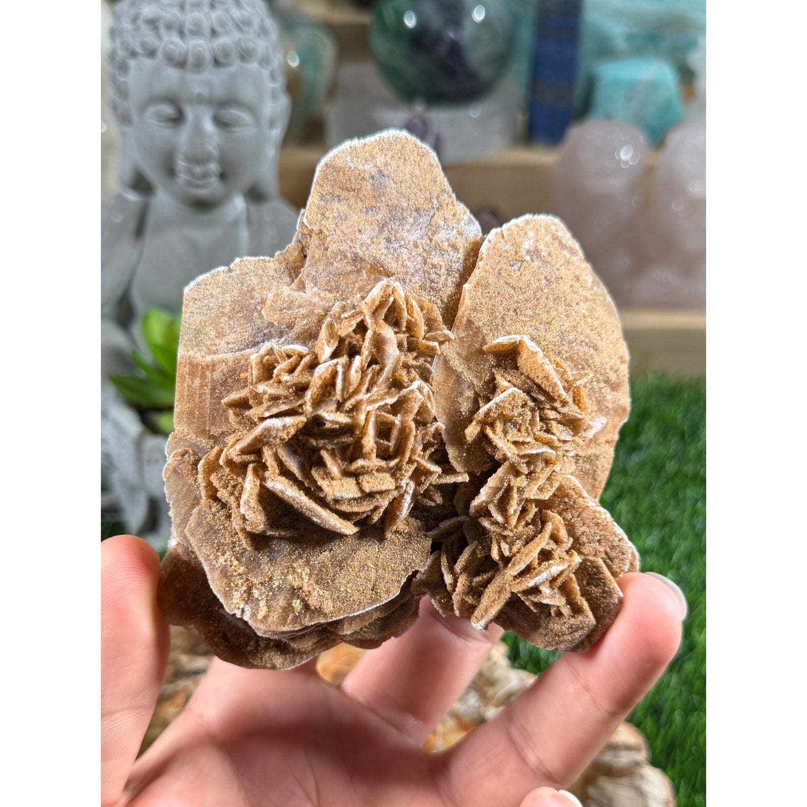 🌹 UV Reactive Desert Rose Selenite Cluster 🌹