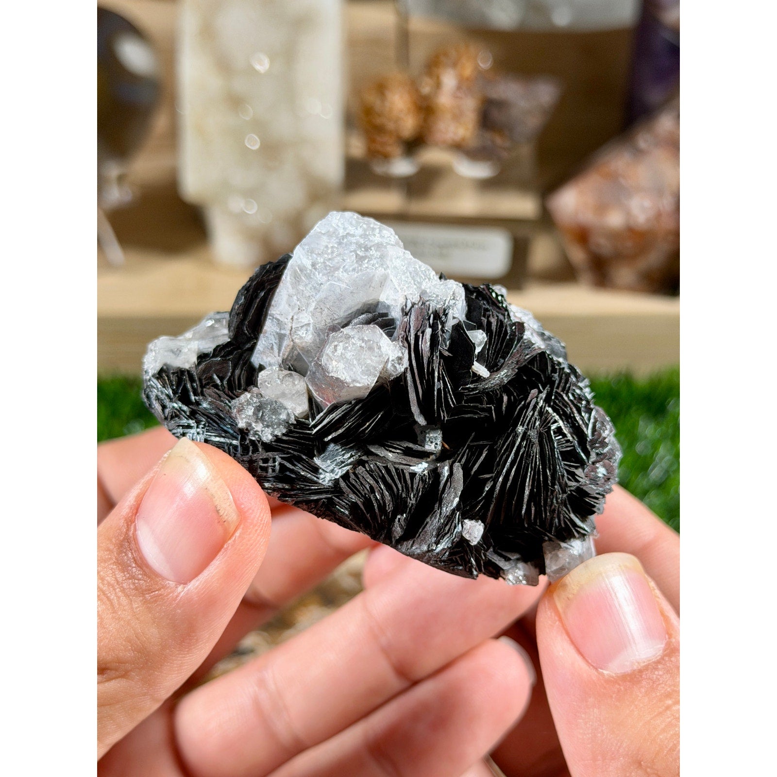 Black Bladed Hematite & Quartz | 8.6 oz | Bold High-Contrast Crystal Cluster