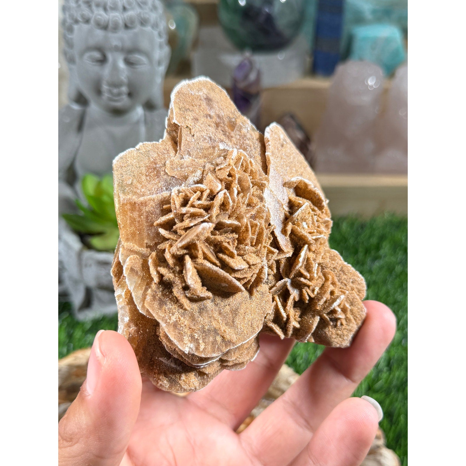 🌹 UV Reactive Desert Rose Selenite Cluster 🌹